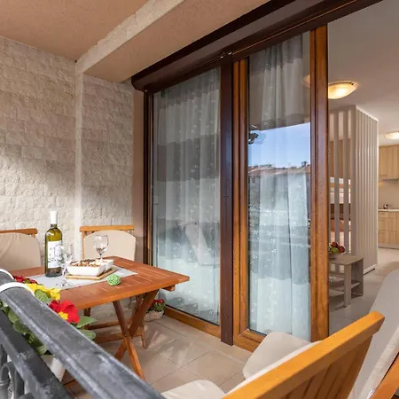 Apartment Cozy In With Kitchen